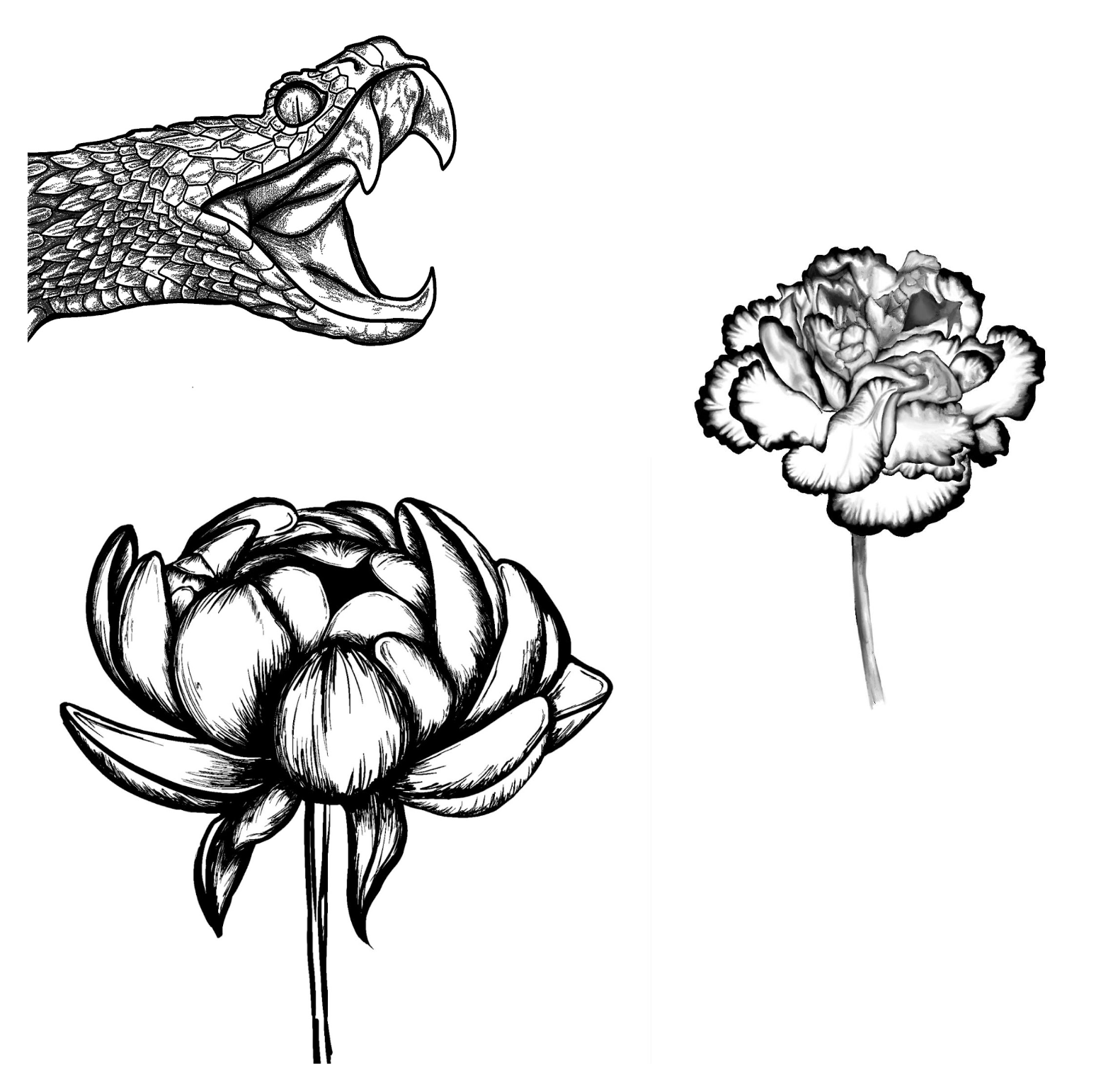 Tattoo flash design 2.